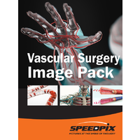 Vascular Surgery & Sample Anatomy Image Pack