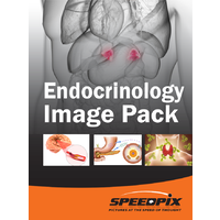 Endocrinology & Sample Anatomy Image Pack