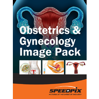 Obstetrics/Gynecology & Sample Anatomy Image Pack