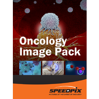 Oncology & Sample Anatomy Image Pack