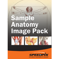 Sample Anatomy Image Pack