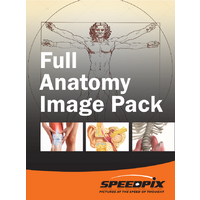 Full Anatomy Image Pack