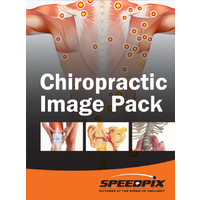 Chiropractic & Sample Anatomy Image Pack